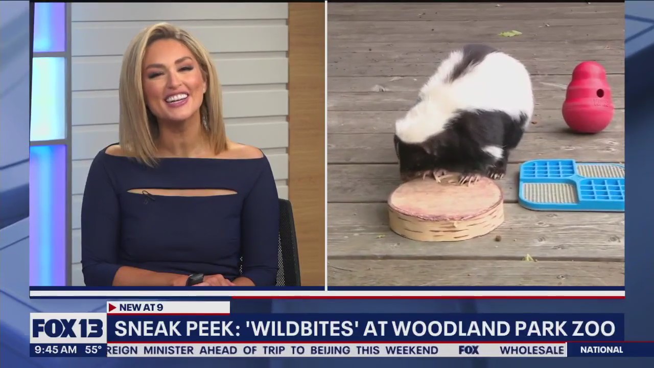 Sneak peek: 'Wildbites' at Woodland Park Zoo