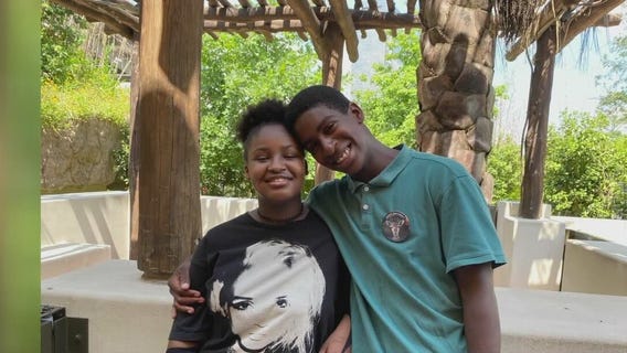 Brother and sister looking for forever home