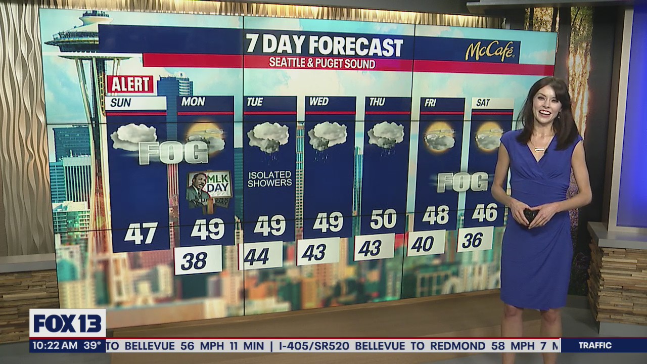 This week: All clouds, all fog, all the time!