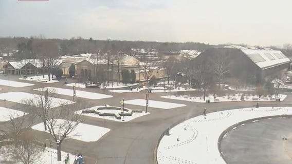 Good Day's Anthony Ponce visits Brookfield Zoo's giant Ferris wheel