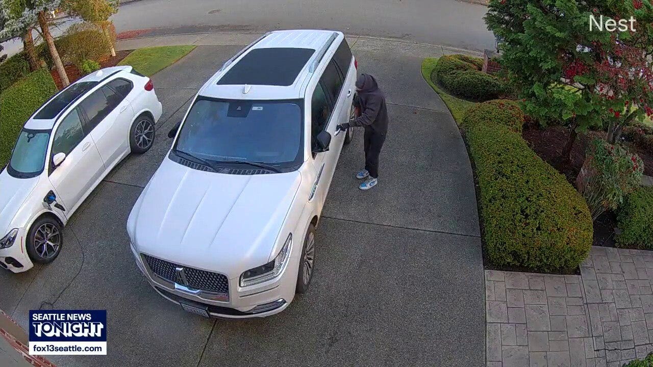 Prolific car thief caught after K9 chase in Bellevue