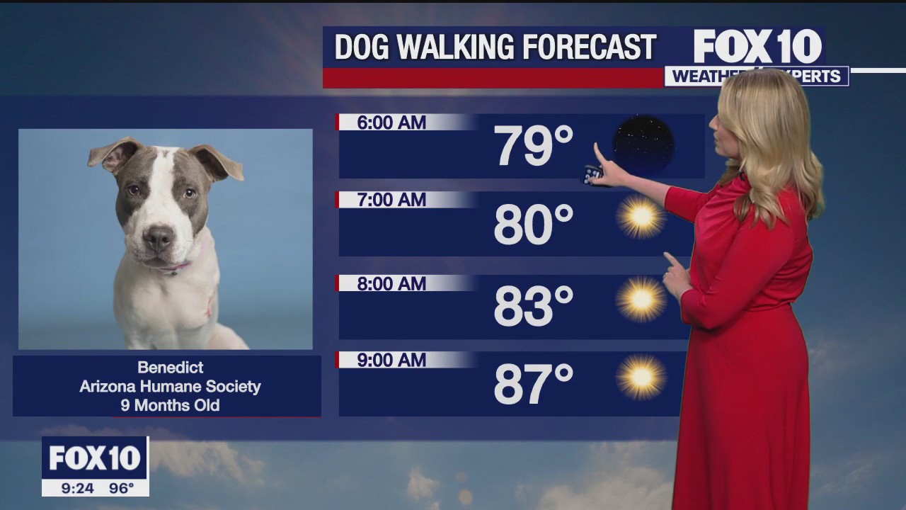 Evening Weather Forecast - 9/16/23