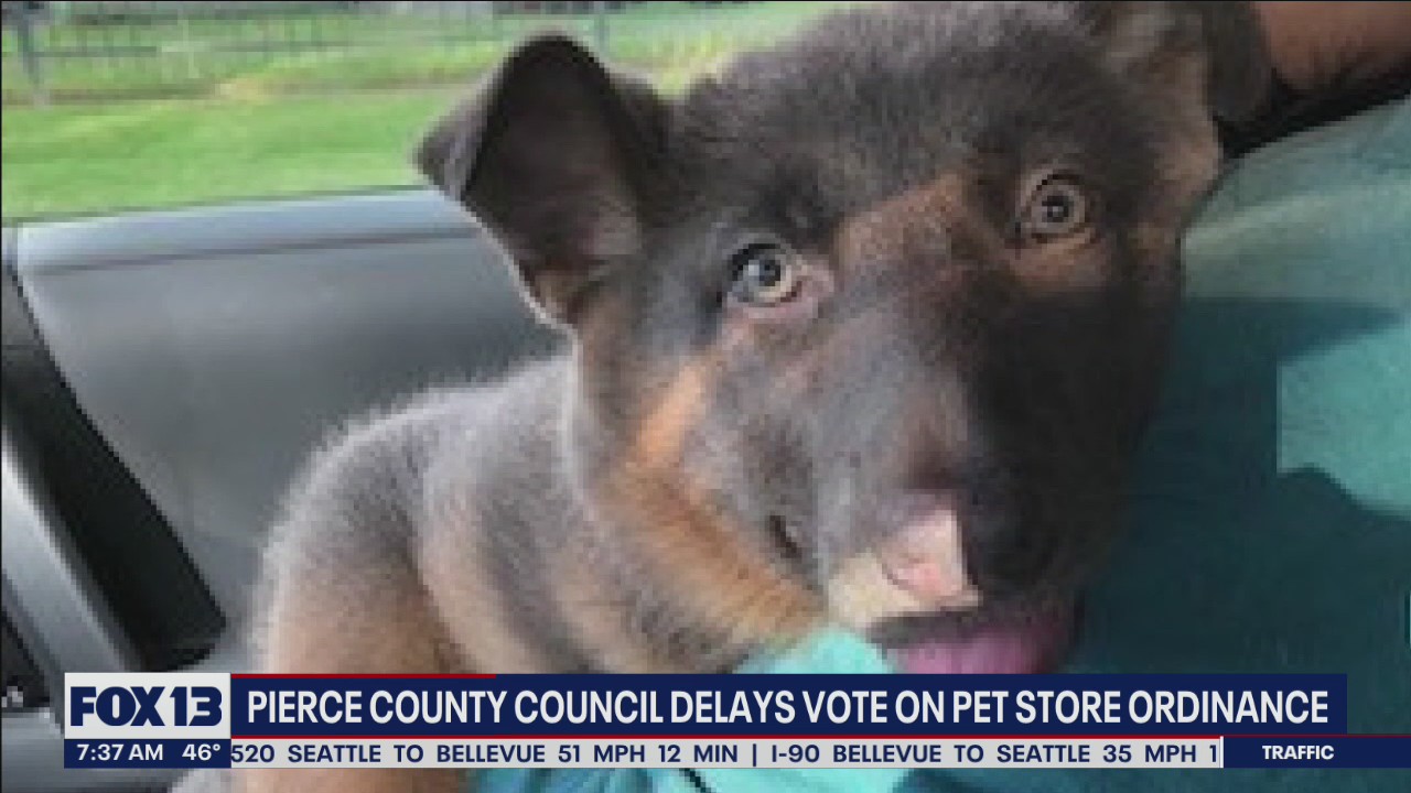 Pierce County Council delays vote on pet store ordinance