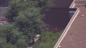 Contracting company facing $15,000 fine after deadly bee attack