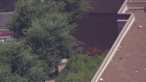 Contracting company facing $15,000 fine after deadly bee attack