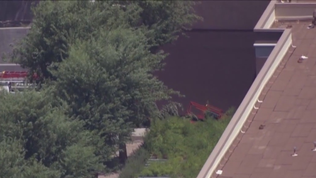 Contracting company facing $15,000 fine after deadly bee attack