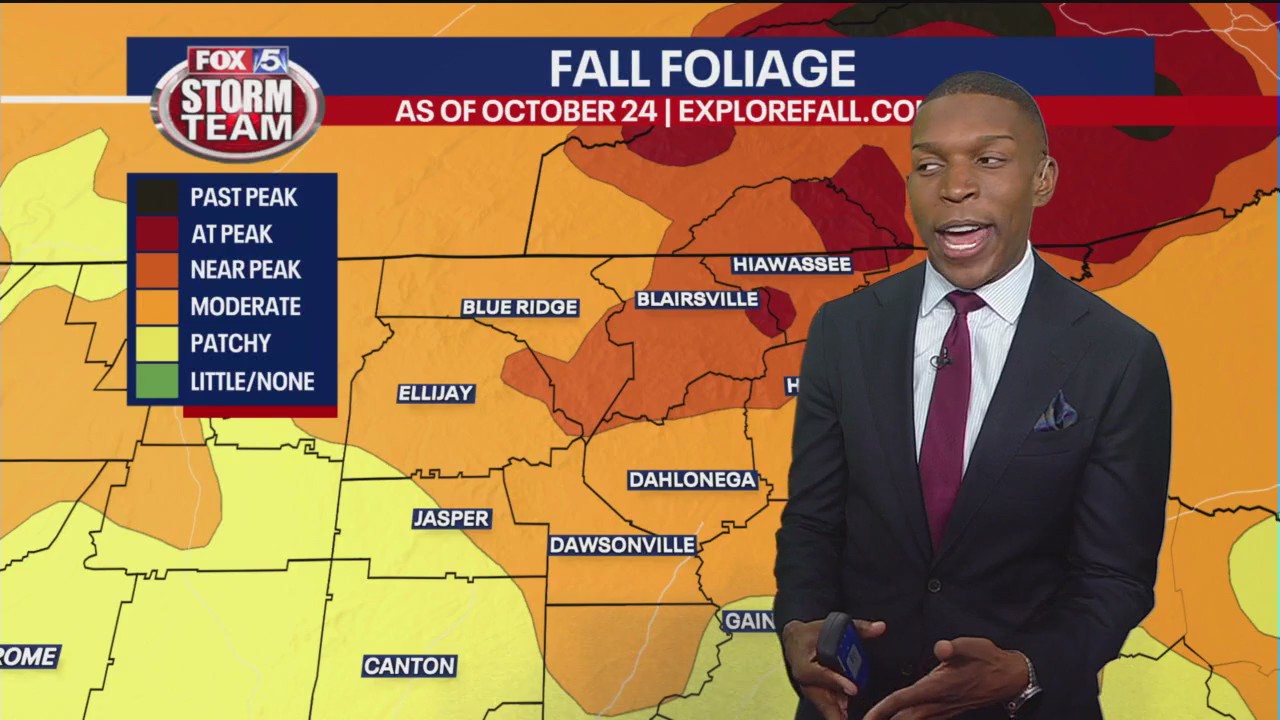 Best place in north Georgia to see the leaves