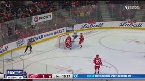 Red Wings winless in 4 straight, what's wrong with the team?