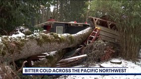 West Coast Wrap: January 16, 2024