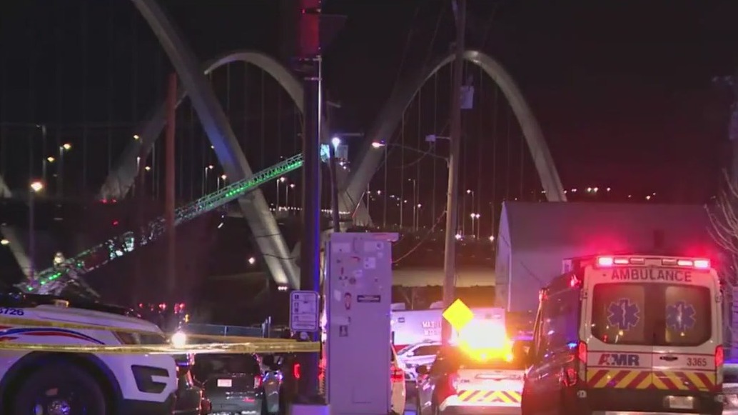 Army helicopter collides with plane; dozens killed