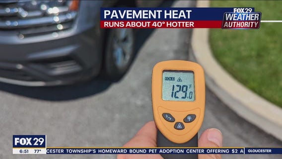 Protect your pets: Pavement, sidewalk could get dangerously hot during heatwave