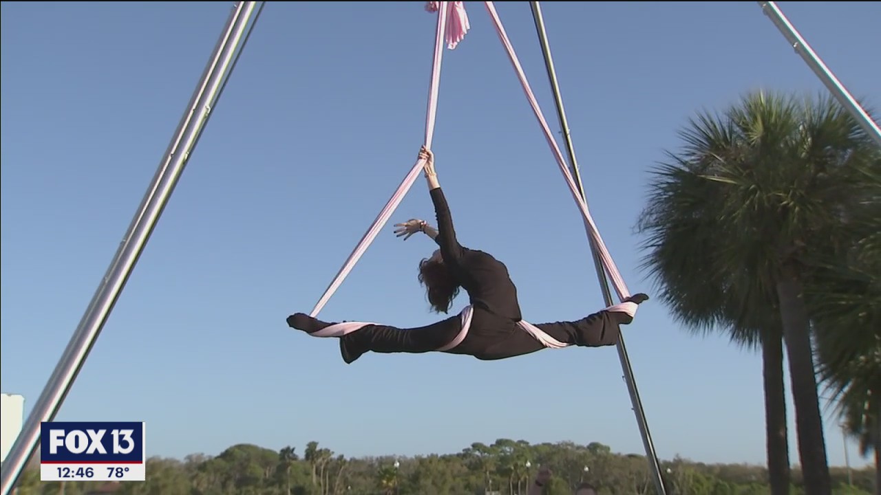 Safety Harbor's Art and Seafood on the Waterfront free this weekend