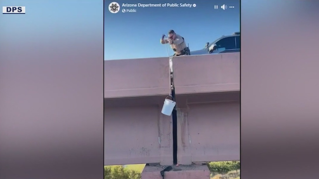 Kitten rescued by Arizona DPS, Good samaritan