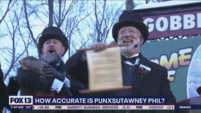 How accurate is Punxsutawney Phil?