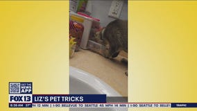 Liz’s Pet Tricks for Monday, March 7