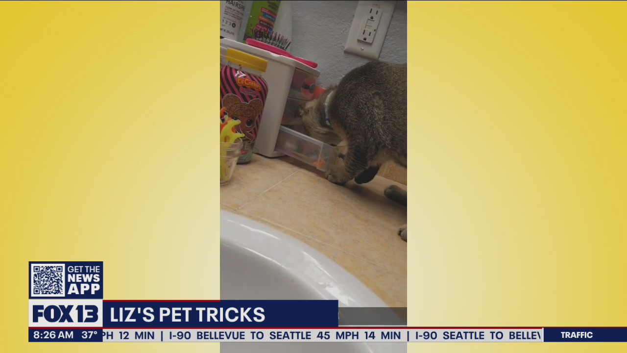 Liz’s Pet Tricks for Monday, March 7