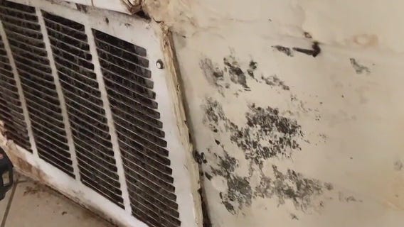 Mayor's Strike Force Team helps Houston residents living in inhumane conditions