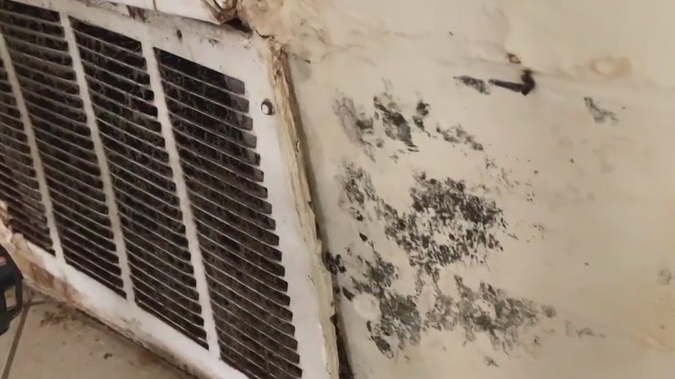 Mayor's Strike Force Team helps Houston residents living in inhumane conditions