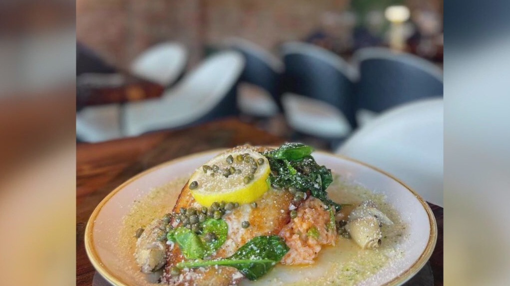 Dua Vino + The Bar showcases their contemporary Italian cuisine and wine cocktails