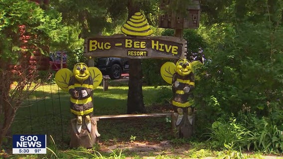 Town Ball Tour: Bug-Bee Hive Resort