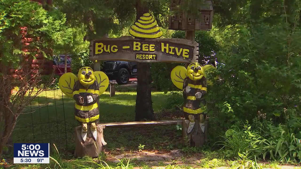 Town Ball Tour: Bug-Bee Hive Resort
