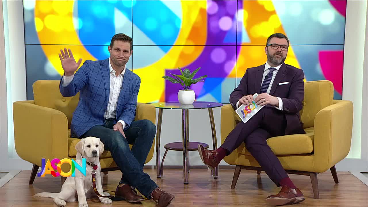 Preventing kennel cough and choosing the right pet toys