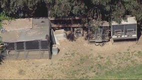 Alligators and snakes seized after search warrants near Thousand Oaks