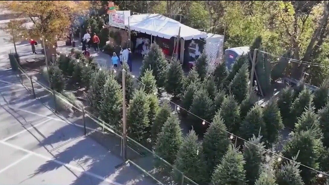 Pros and cons of real and artificial Christmas trees