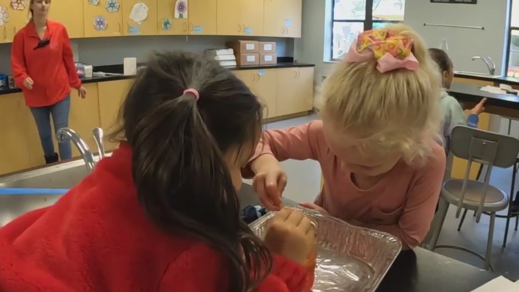 Pinellas County mentorship program for girls