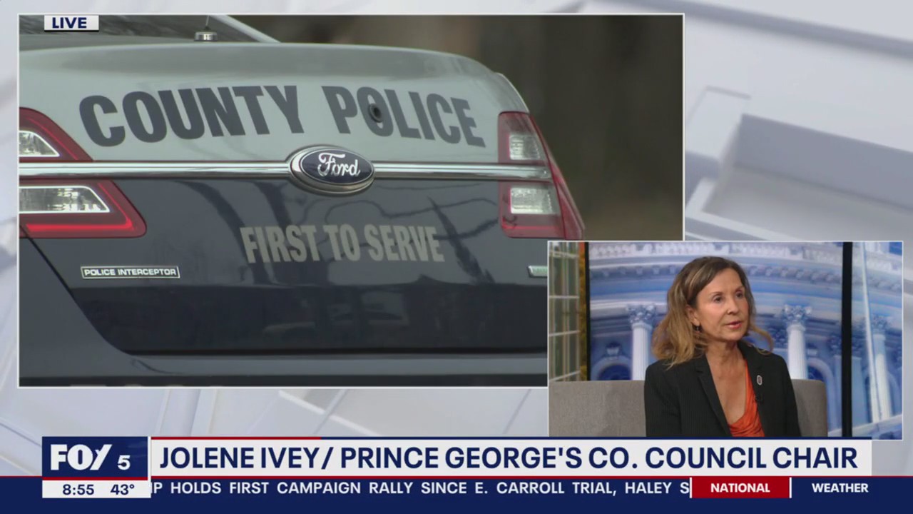 Prince George's County leaders hold Gun Violence Action Summit amid rise in violent crime