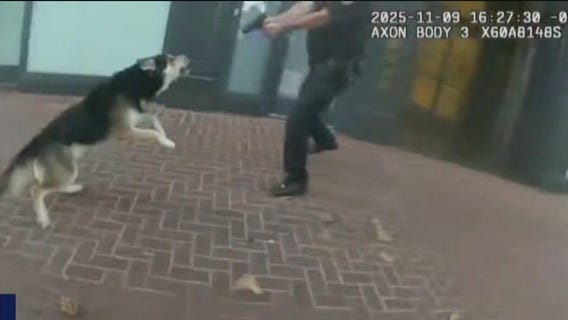 Body-cam footage of SFPD shooting and wounding suspect and dog