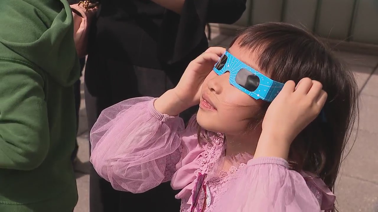 Hundreds gather at Cranbrook Institute of Science for eclipse watch party