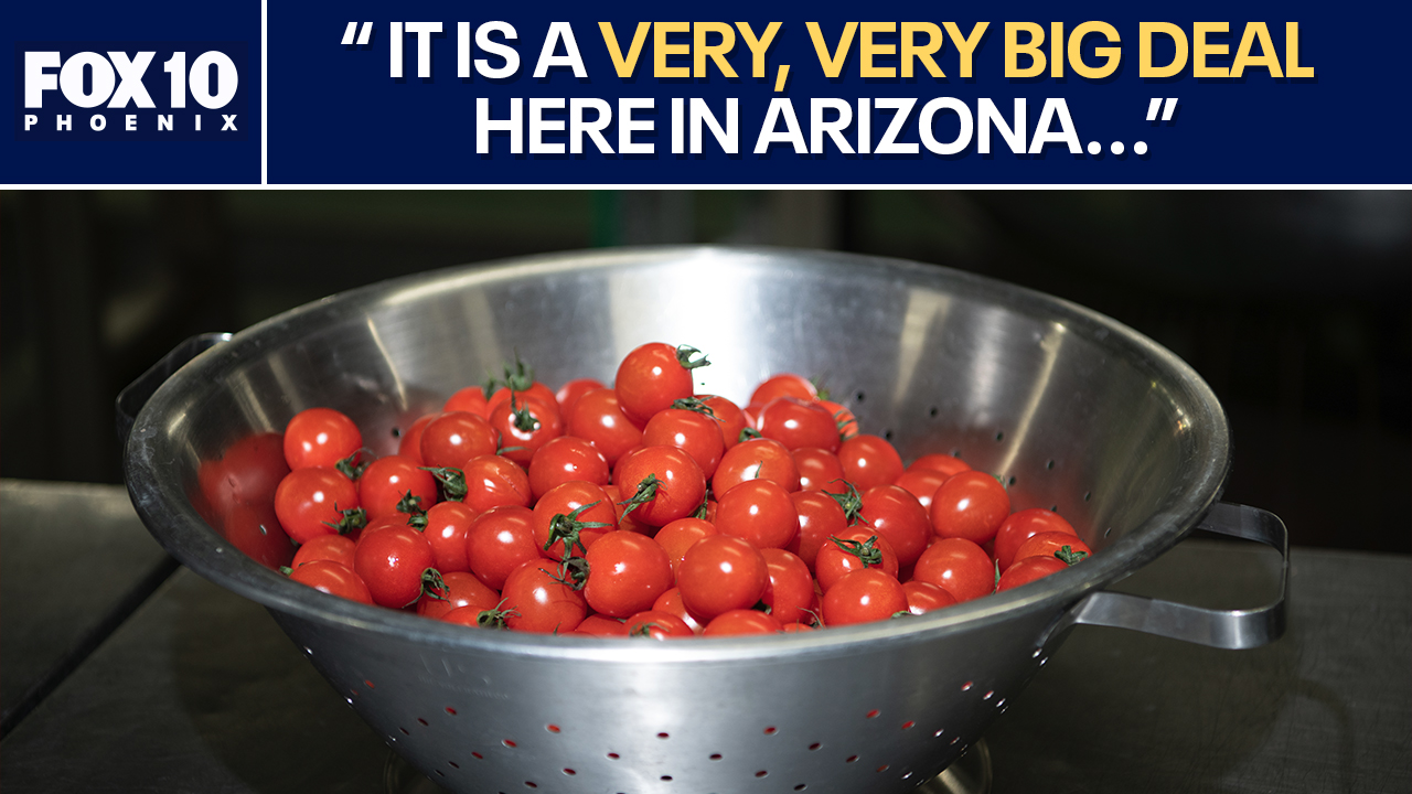 Arizona reacts to 17% tomato tariff