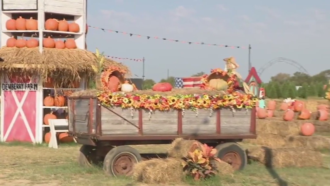 Fall Festival at Dewberry Farm