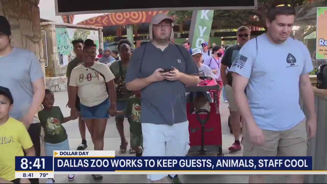 Guests enjoy unusually cool Dallas Zoo Dollar Day