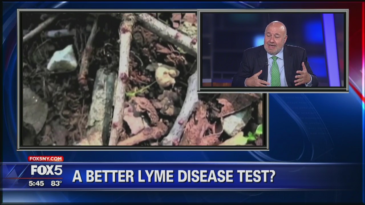 New Lyme disease test?