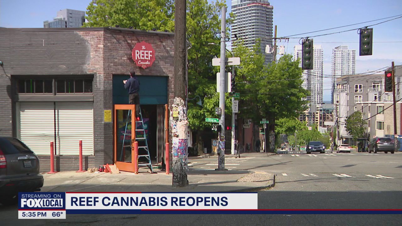 The Reef Cannabis shop reopens after Capitol Hill smash and grab