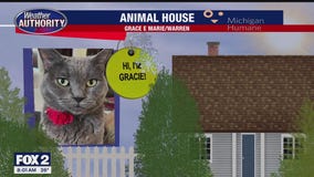 Welcome Gracie, Bella, Roxy Mae