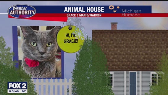 Welcome Gracie, Bella, Roxy Mae