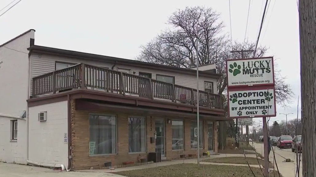 Dog rescue operators seek new building