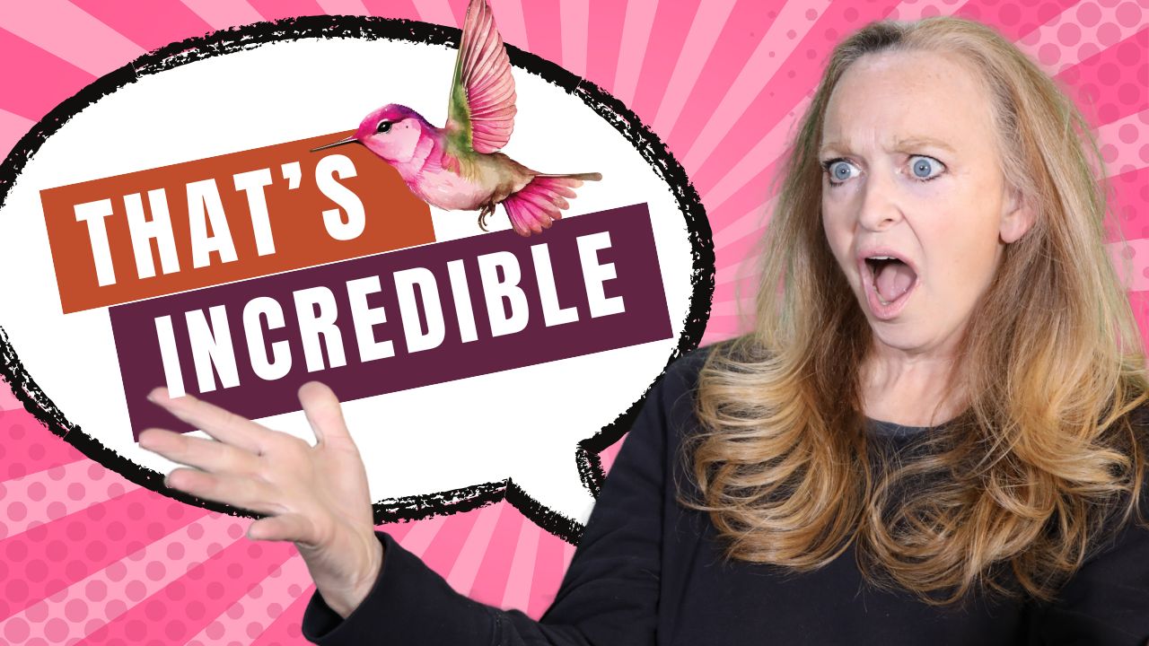 That's Incredible: Hummingbird Murders & 647 Calls to 911