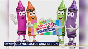 Crayola color competition for exclusive collection