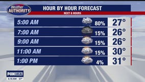 Light Snow, Cold Day