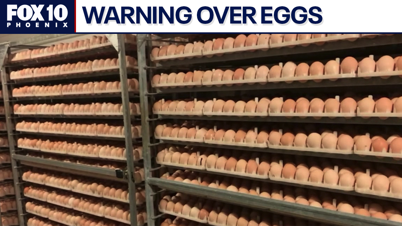 Egg warning for travelers l FOX 10 Talks