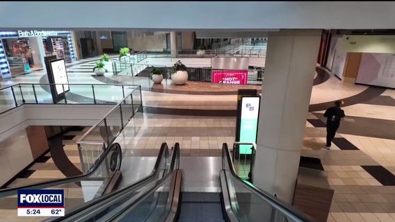 Resurgence in the popularity of shopping malls