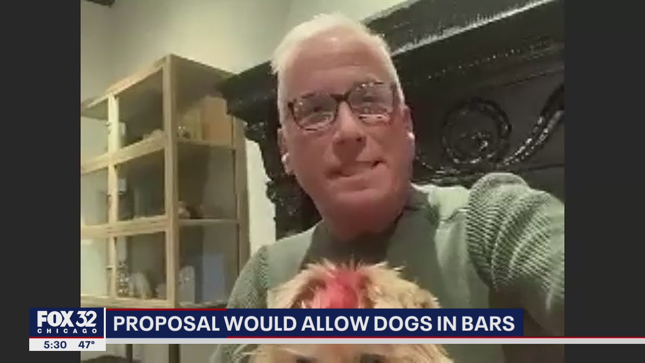 Chicago proposal allows dogs in bars