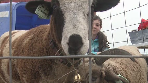 Sheboygan Falls farm hosts 1st open house