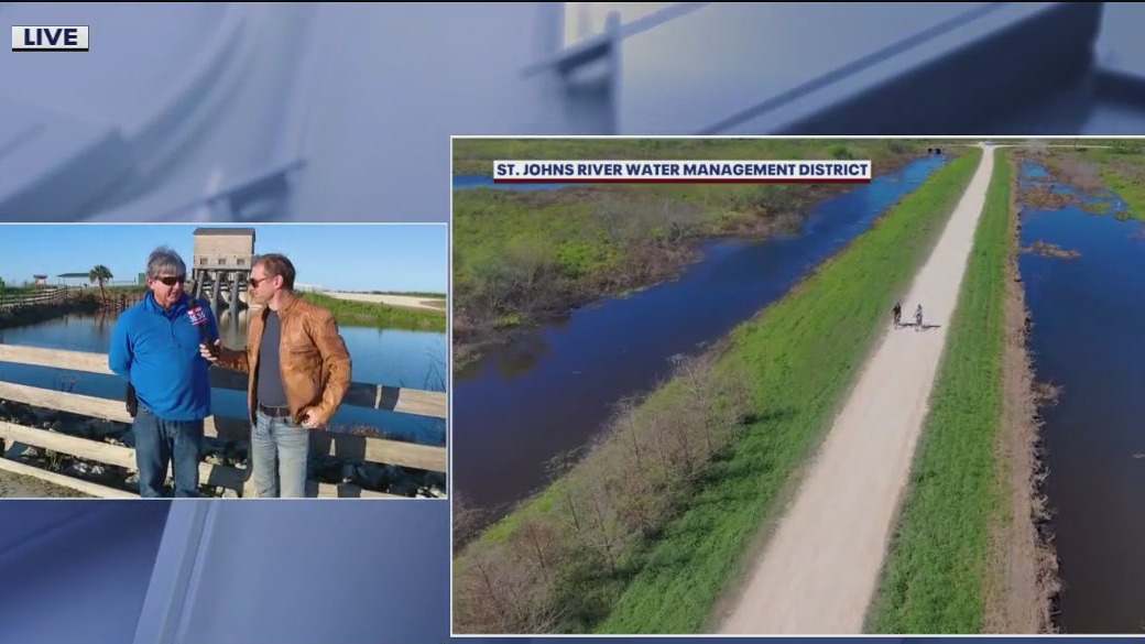 Things to do at Lake Apopka Wildlife Drive | FOX 35 Orlando