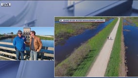 Things to do at Lake Apopka Wildlife Drive