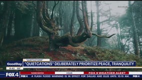 'Quietcations' prioritize peace and tranquility